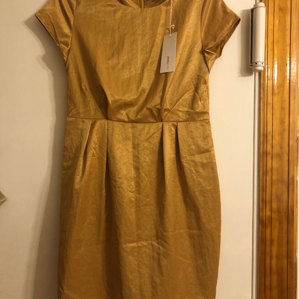 *NWT* Gold Pinkyotto Dress